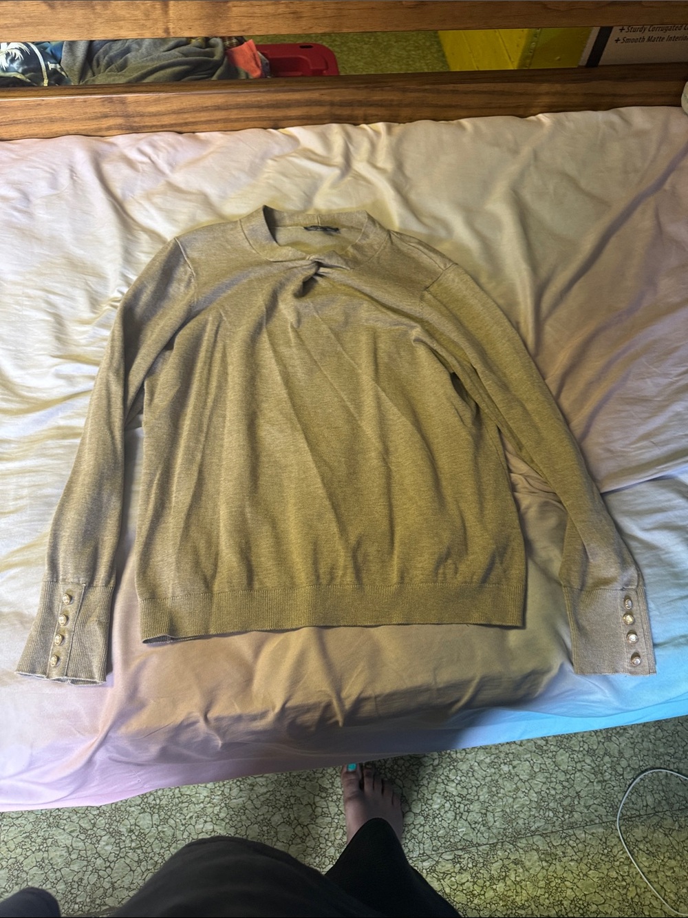 Adrianna Papell Light Beige Crewneck Sweater with Button Cuffs